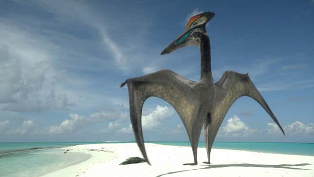 A male Hatzegopteryx presenting with a recently caught meal (on sandbar.)